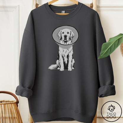 Golden Retriever Cone Sweatshirt Charcoal Taco-Dog