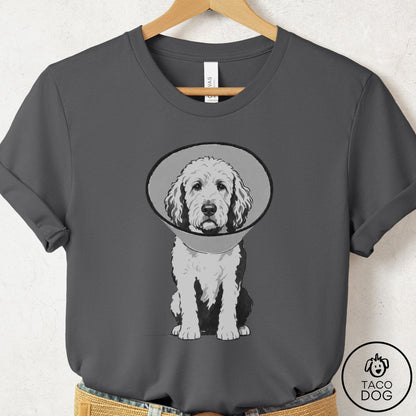 Doodle Cone T-Shirt Asphalt Taco-Dog