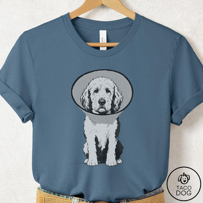 Doodle Cone T-Shirt Steel Blue Taco-Dog