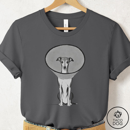 Italian Greyhound Whippet Cone T-Shirt Asphalt Taco-Dog