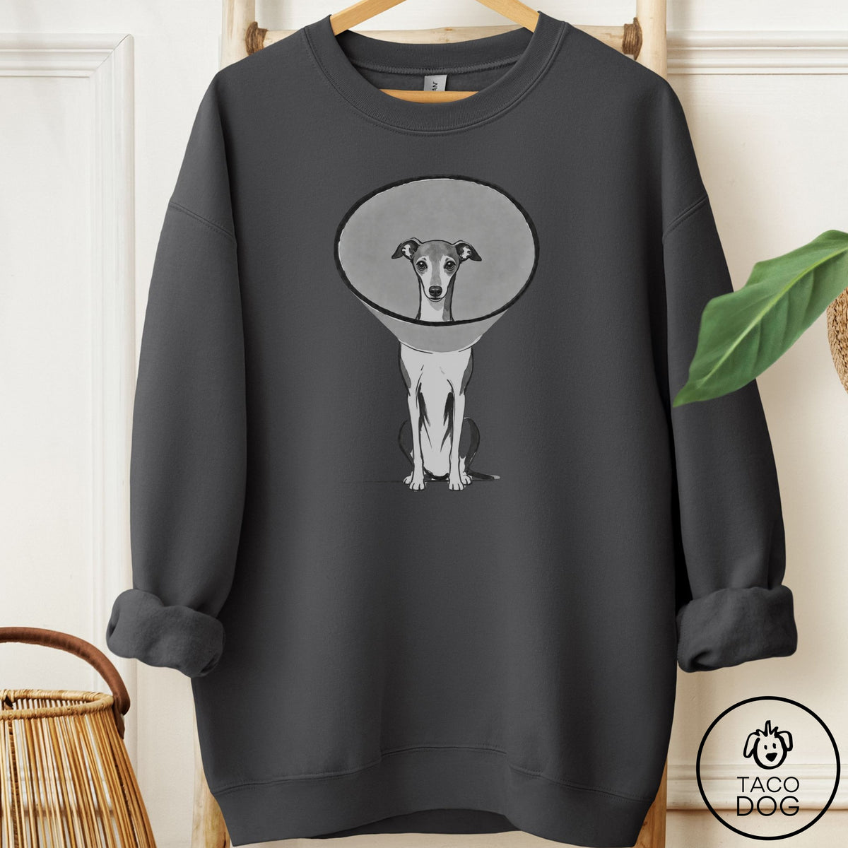 Italian Greyhound Whippet Cone Sweatshirt Charcoal Taco-Dog