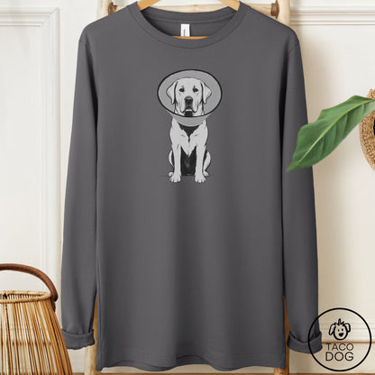 Labrador Retriever Cone Long Sleeve Tee Asphalt Taco-Dog