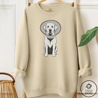 Labrador Retriever Cone Sweatshirt Sand Taco-Dog