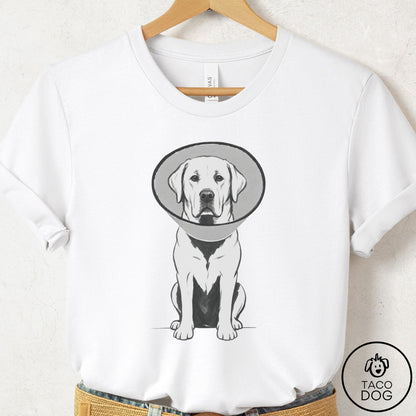 Labrador Retriever Cone T-Shirt White Taco-Dog