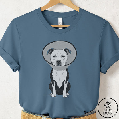 Pitbull Cone T-Shirt Steel Blue Taco-Dog