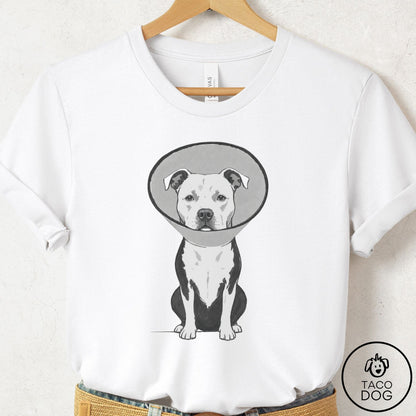 Pitbull Cone T-Shirt White Taco-Dog