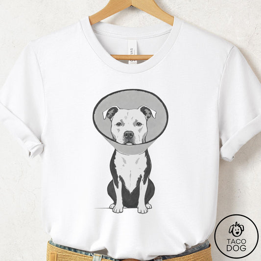 Pitbull Cone T-Shirt White Taco-Dog