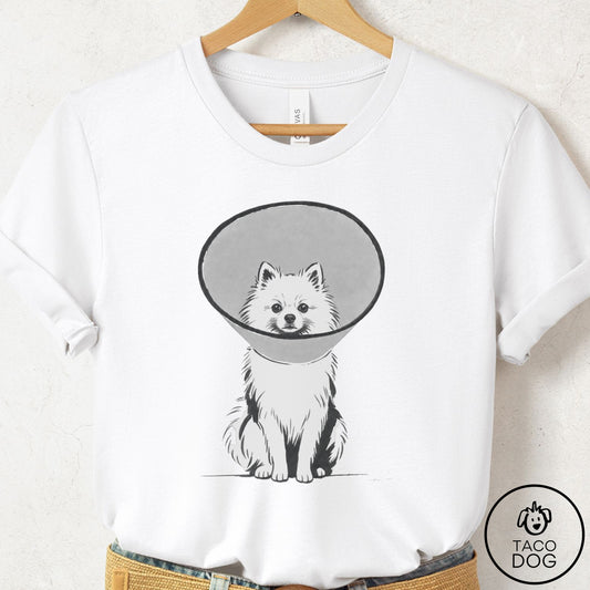 Pomeranian Cone T-Shirt White Taco-Dog