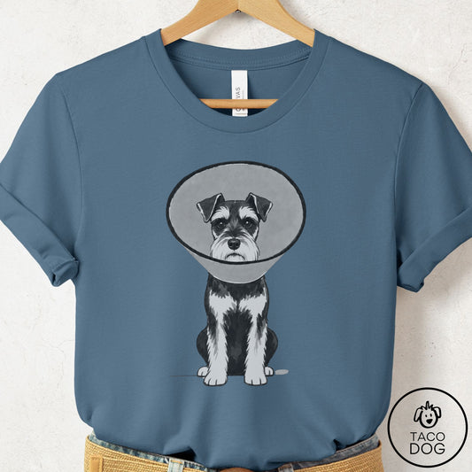 Schnauzer Cone T-Shirt Steel Blue Taco-Dog