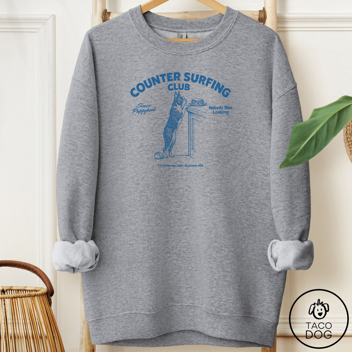 Boston Terrier Counter Surfing Club Sweatshirt Graphite Heather Taco-Dog