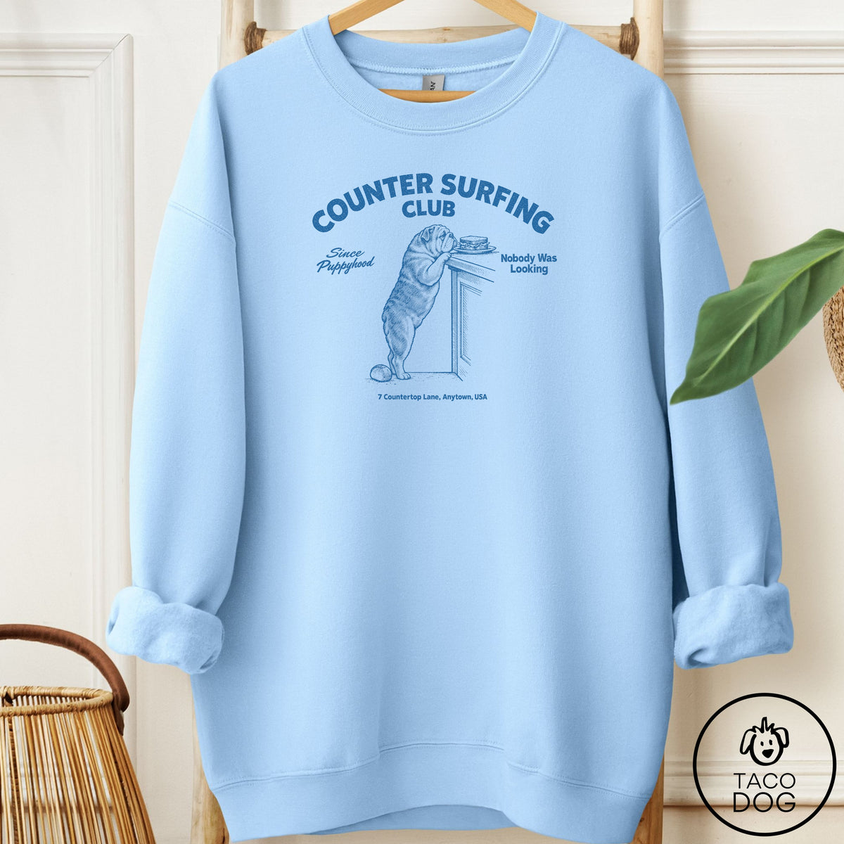 English Bulldog Counter Surfing Club Sweatshirt Light Blue Taco-Dog