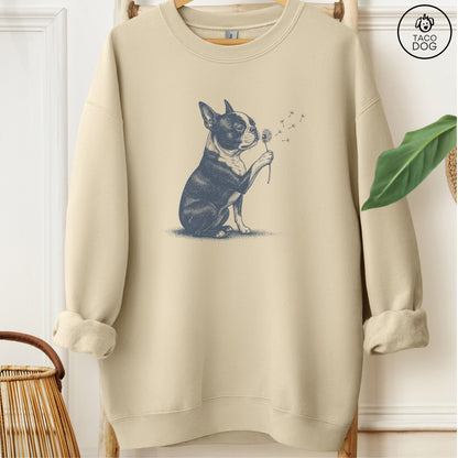 Boston Terrier Dandelion Sweatshirt Sand Taco-Dog