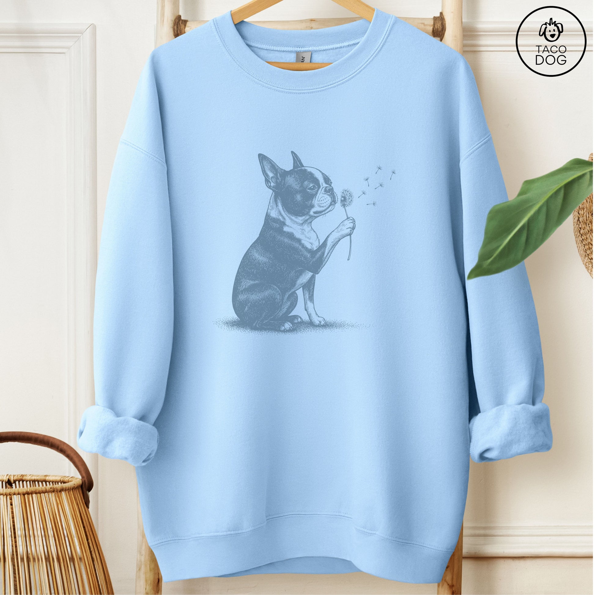 Boston Terrier Dandelion Sweatshirt Light Blue Taco-Dog
