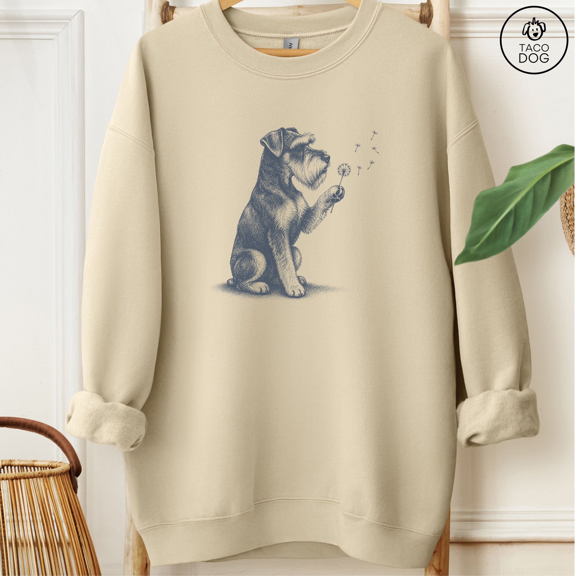 Schnauzer Dandelion Sweatshirt Sand Taco-Dog