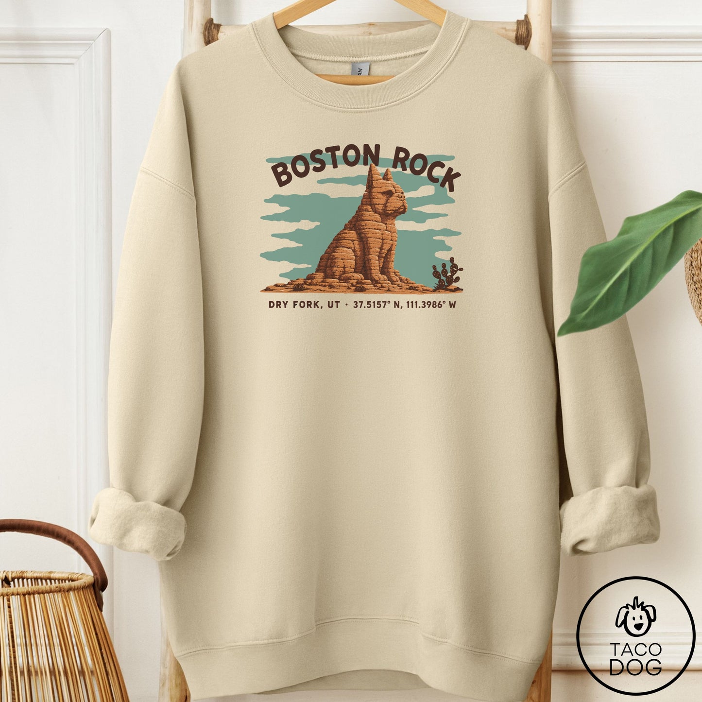 Boston Terrier Dog Rock Sweatshirt