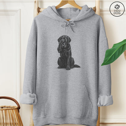 Labrador Retriever Facepalm Hoodie Graphite Heather Taco-Dog
