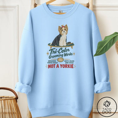 Biewer Terrier Family Business Sweatshirt Light Blue Taco-Dog