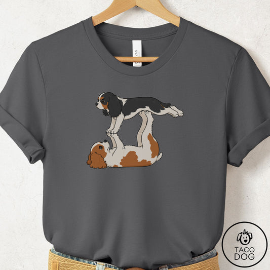 Cavalier King Charles Spaniel Flying Feet T-Shirt Asphalt Taco-Dog