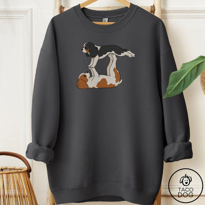 Cavalier King Charles Spaniel Flying Feet Sweatshirt Charcoal Taco-Dog