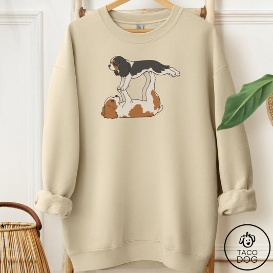 Cavalier King Charles Spaniel Flying Feet Sweatshirt Sand Taco-Dog