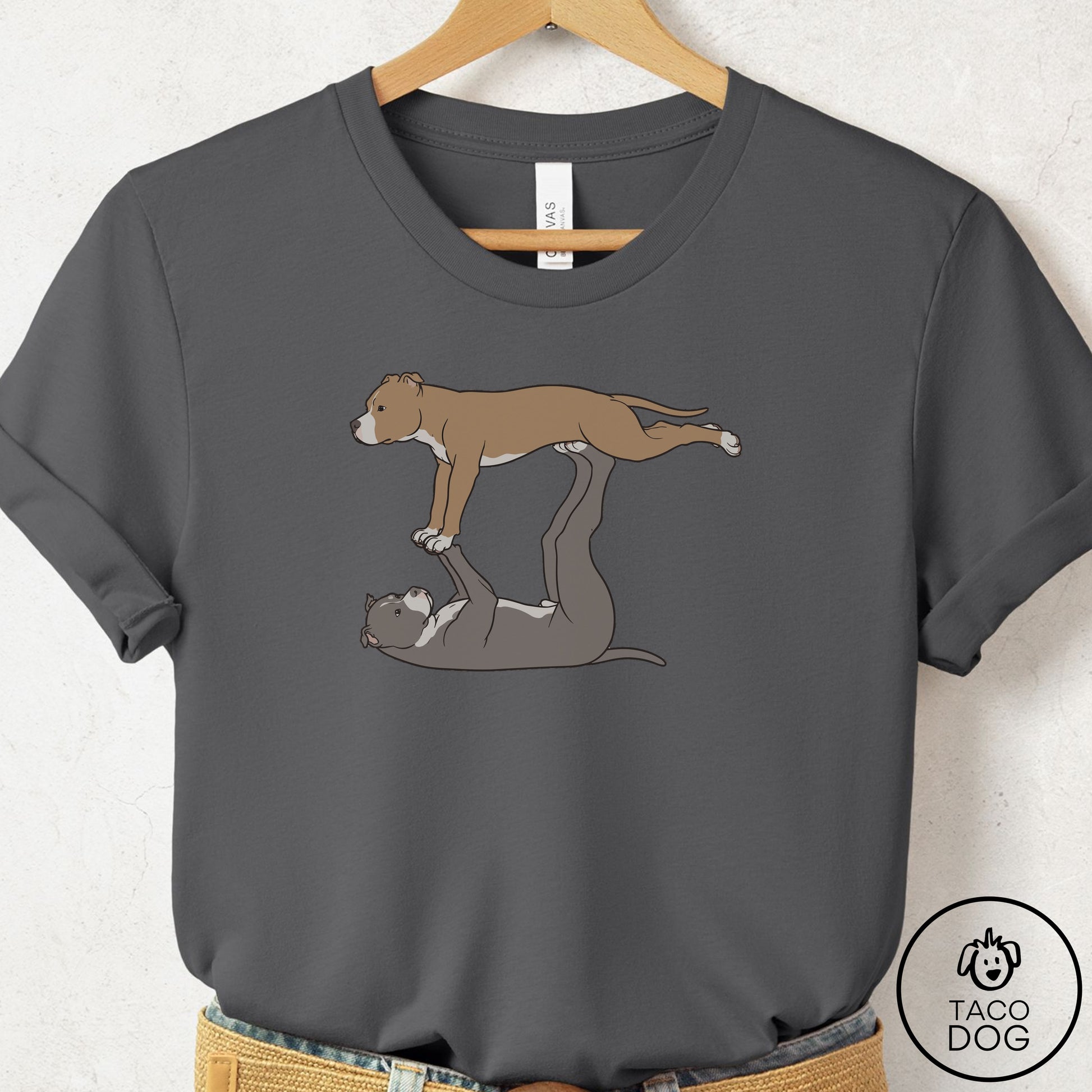 Pitbull Flying Feet T-Shirt Asphalt Taco-Dog