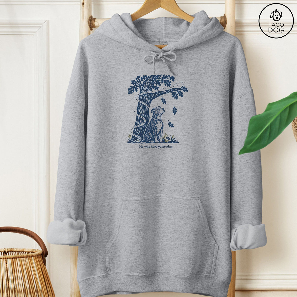Pitbull He Was Here Yesterday Hoodie Graphite Heather Taco-Dog