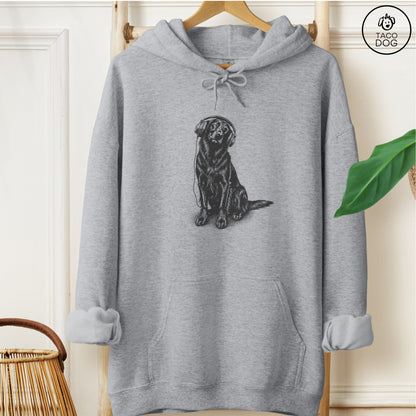 Flat-Coated Retriever Headphones Hoodie Graphite Heather Taco-Dog