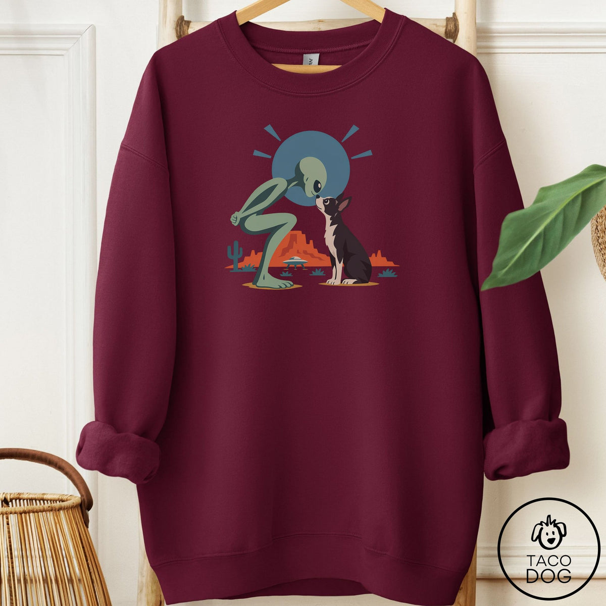 Boston Terrier Hello Neighbor Sweatshirt Maroon Taco-Dog