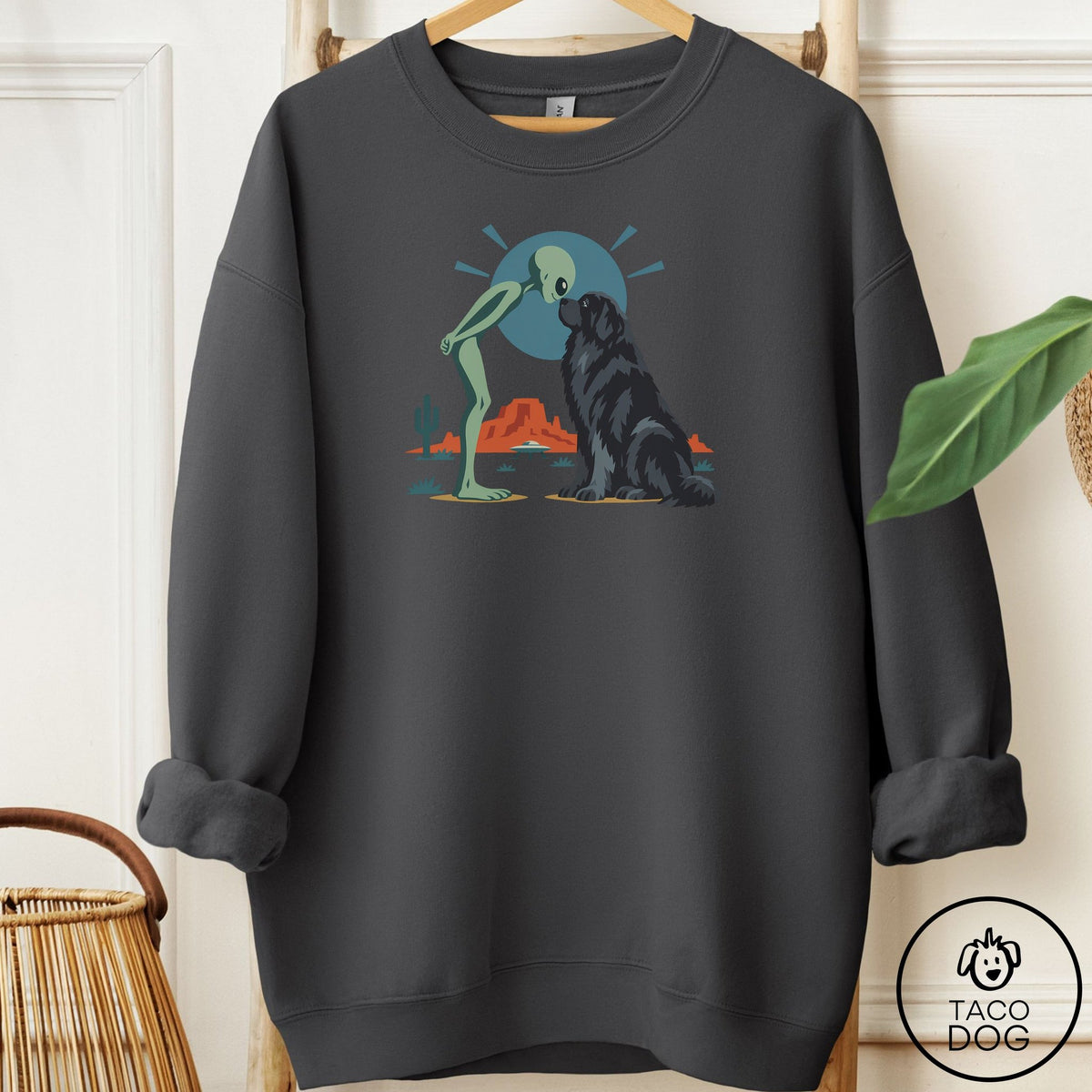 Newfoundland Hello Neighbor Sweatshirt Charcoal Taco-Dog