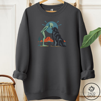 Newfoundland Hello Neighbor Sweatshirt Charcoal Taco-Dog