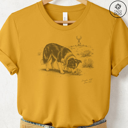 Border Collie Jackalope T-Shirt