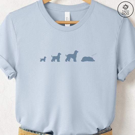 Afghan Hound Lifecycle T-Shirt Light Blue Taco-Dog