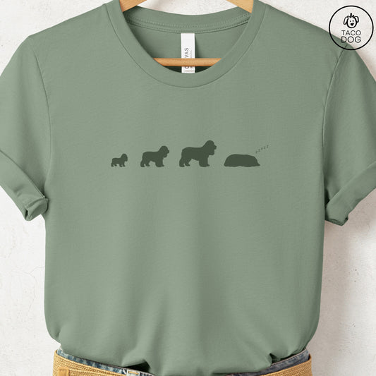 Cocker Spaniel Lifecycle T-Shirt Sage Taco-Dog