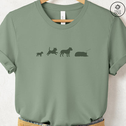 Pitbull Lifecycle T-Shirt Sage Taco-Dog