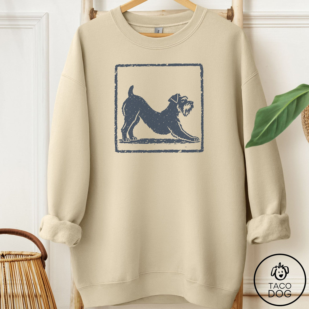 Schnauzer Morning Stretch Sweatshirt Sand Taco-Dog
