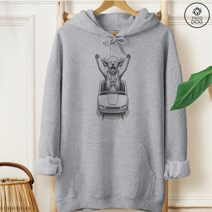 Poodle Roller Coaster Hoodie Graphite Heather Taco-Dog
