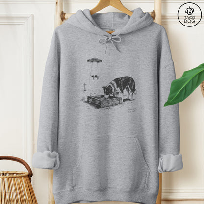 Border Collie Roswell Hoodie