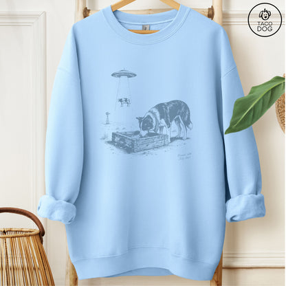 Border Collie Roswell Sweatshirt
