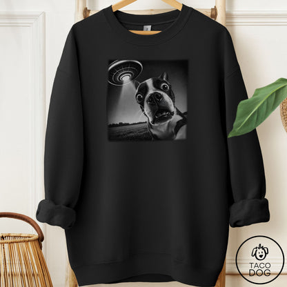 Boston Terrier Selfie Sweatshirt