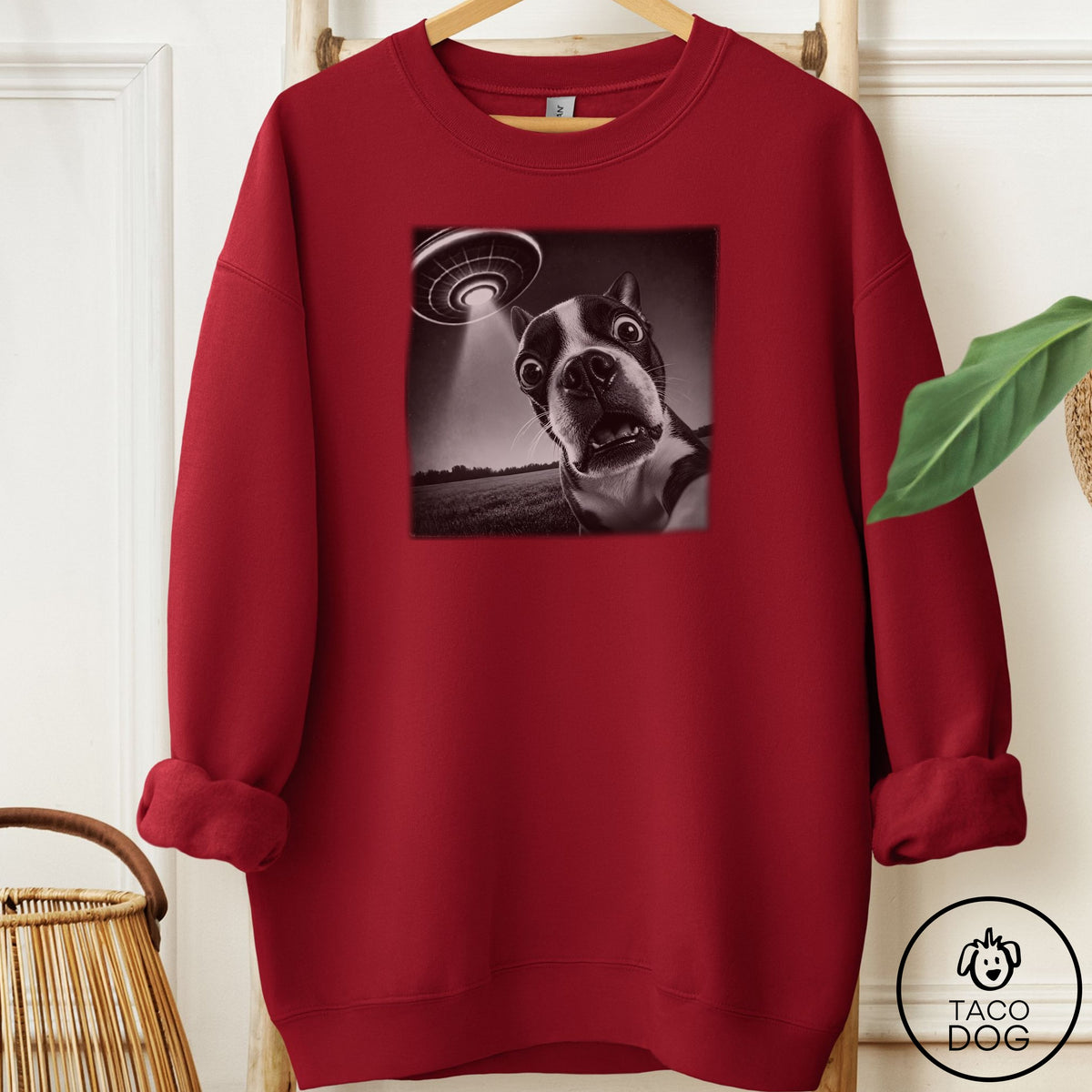 Boston Terrier Selfie Sweatshirt