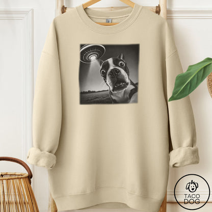 Boston Terrier Selfie Sweatshirt