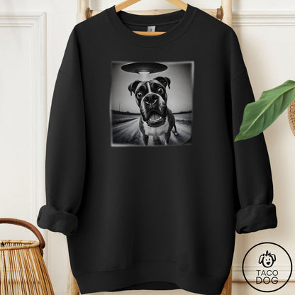 Boxer Selfie Sweatshirt
