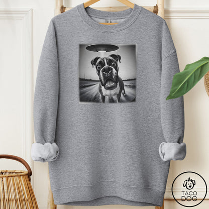 Boxer Selfie Sweatshirt