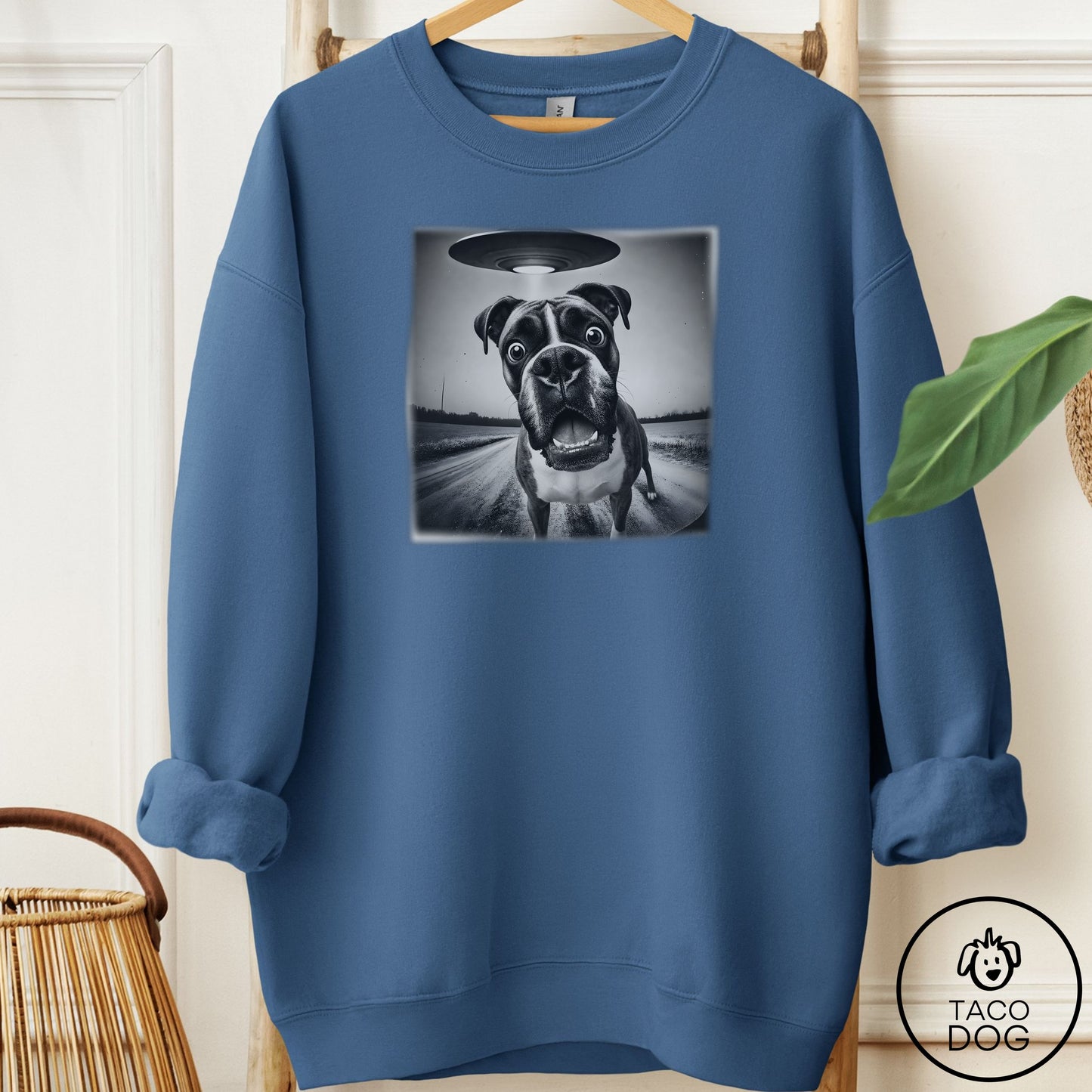 Boxer Selfie Sweatshirt