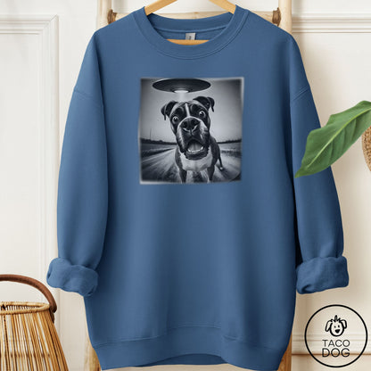 Boxer Selfie Sweatshirt