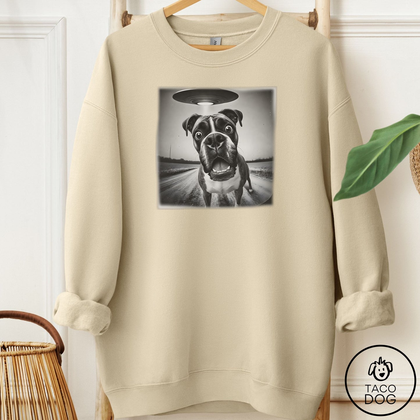 Boxer Selfie Sweatshirt
