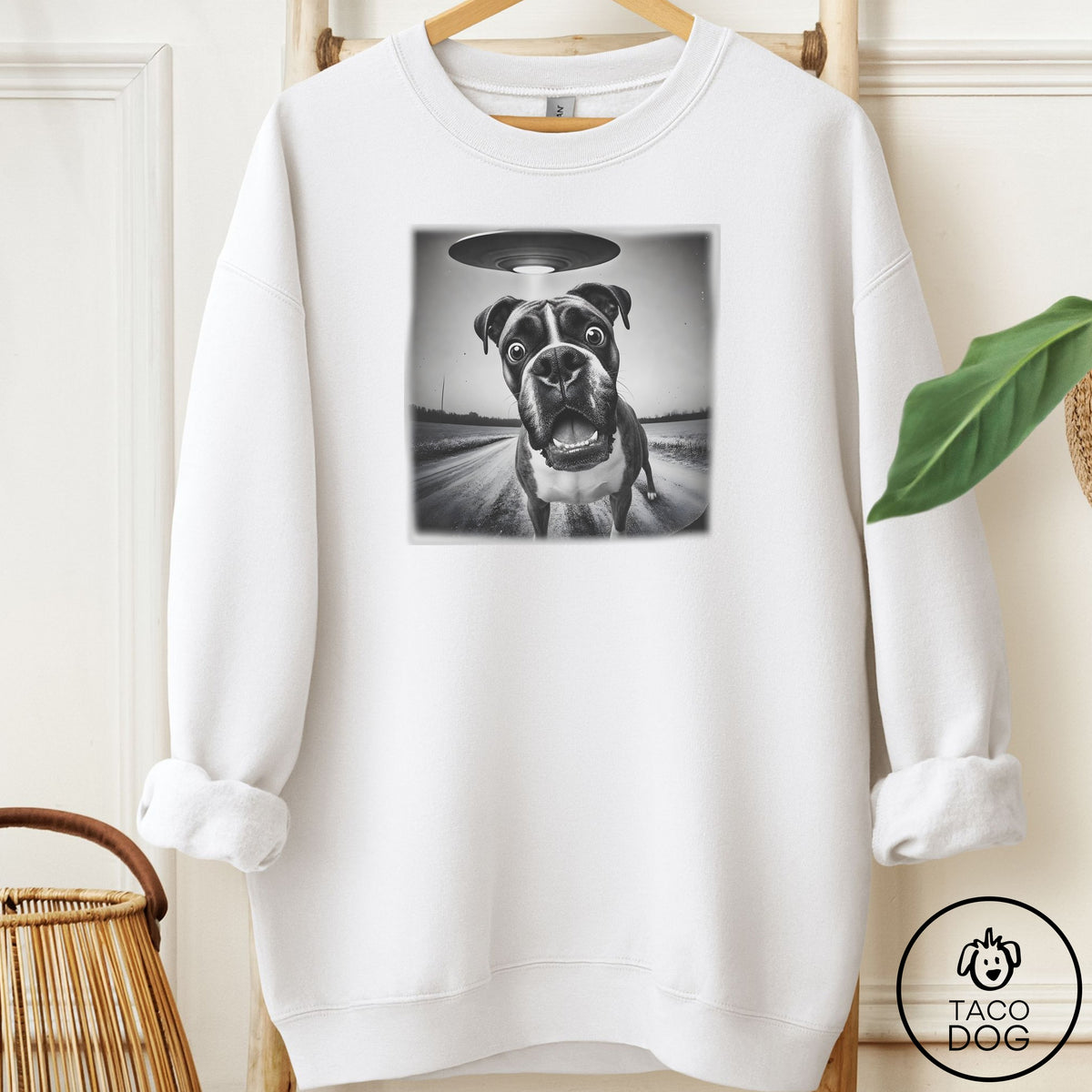 Boxer Selfie Sweatshirt