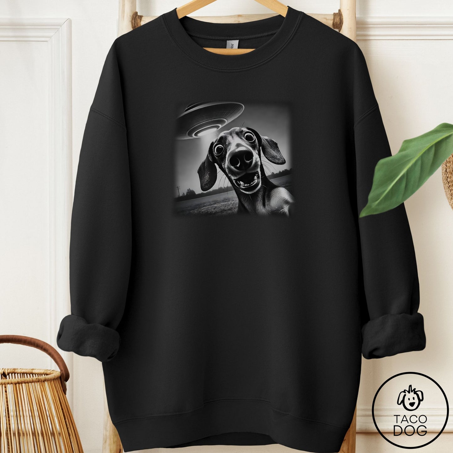 Dachshund Selfie Sweatshirt
