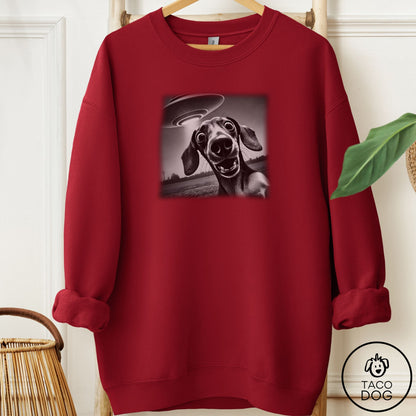 Dachshund Selfie Sweatshirt