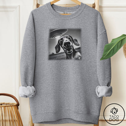 Dachshund Selfie Sweatshirt